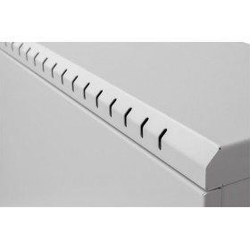 Netrack wall mounted cabinet V-Line Rack 19", 3/4U/180mm – grey, metal door - 5