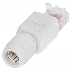 Wtyk RJ45 UTP kat. 6, Netrack, beznarzędziowe - 2